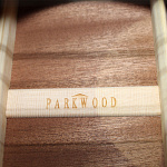 Изображение PARKWOOD S21-GT Акустическая гитара, Глянец Dreadnought + ЧЕХОЛ